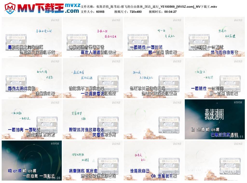 张简君伟_陈苇廷-想飞的自由落体_国语_流行_YE100569